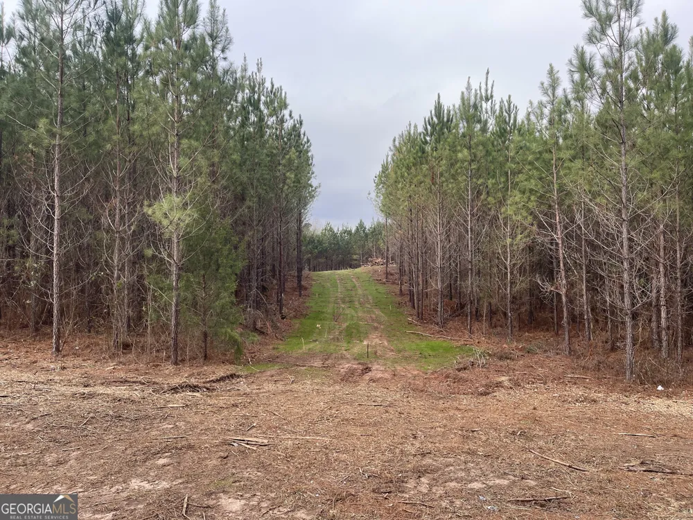 0 Bevis Rd Parcel 7 Franklin, GA 30217