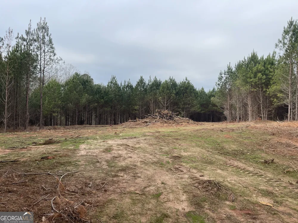 0 Bevis Rd Parcel 7 Franklin, GA 30217