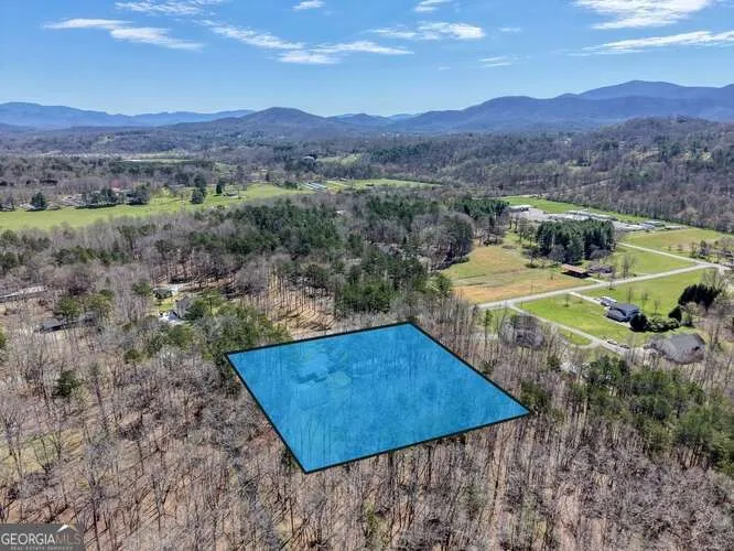 243 Allison RD Blairsville, GA 30512