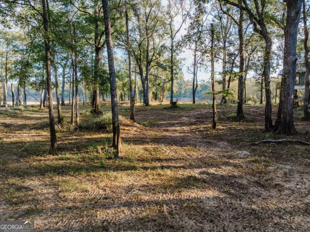 0 Eagles PT Surrency, GA 31563