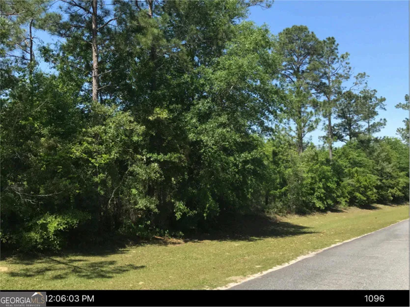 0 Jim Hammock DR Mcrae-Helena, GA 31055