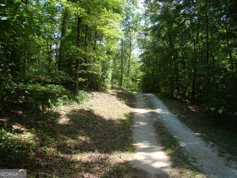 38 Morrisons Point DR Wedowee, AL 36278