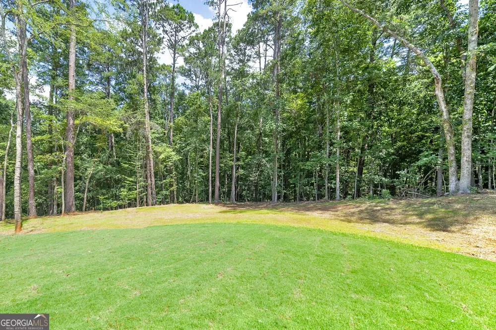 98 Goldeneye CT Monticello, GA 31064
