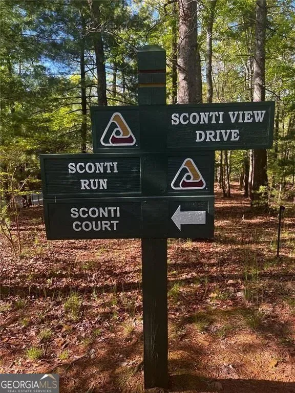 2658 Sconti View DR Big Canoe, GA 30143