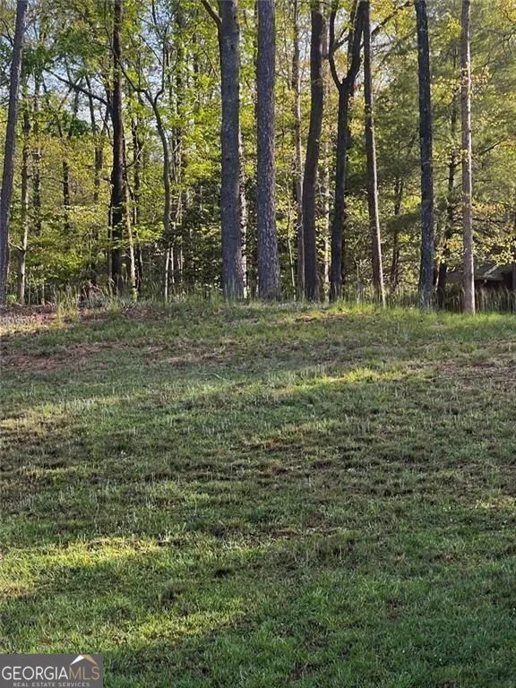 2658 Sconti View DR Big Canoe, GA 30143