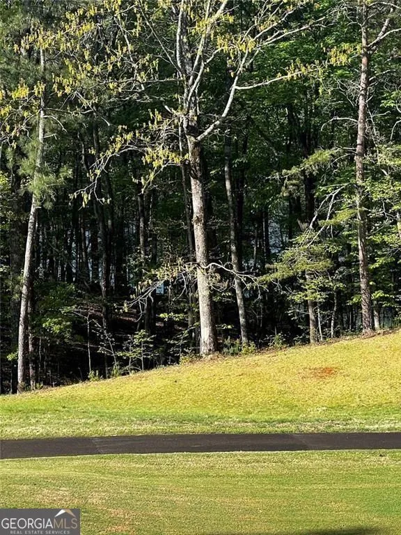 2658 Sconti View DR Big Canoe, GA 30143