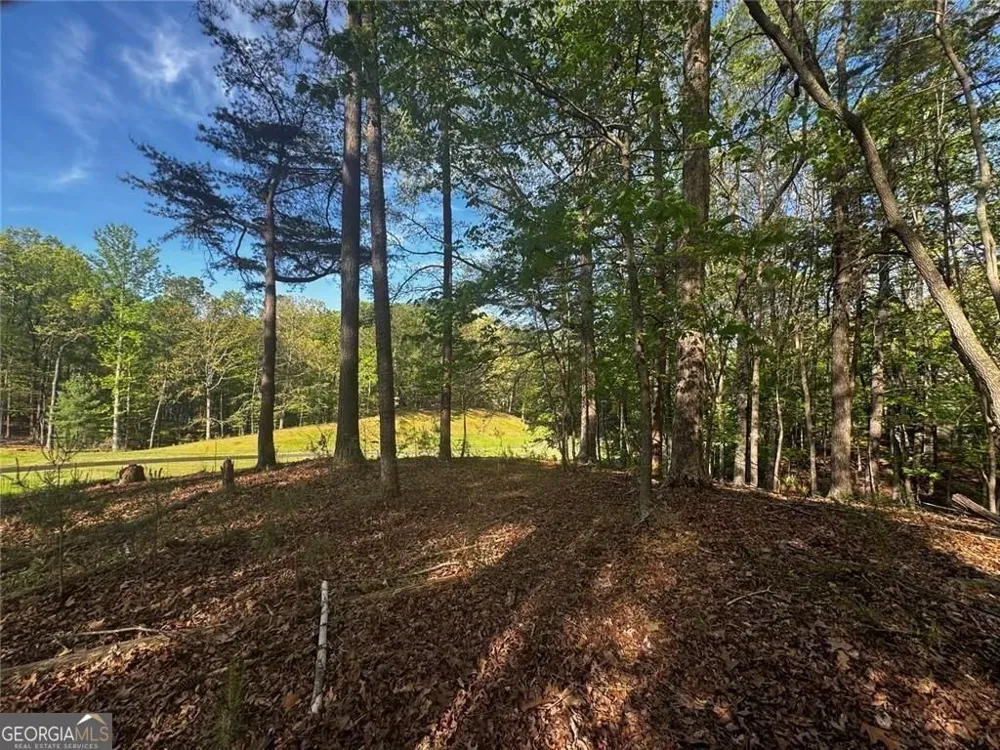 2658 Sconti View DR Big Canoe, GA 30143