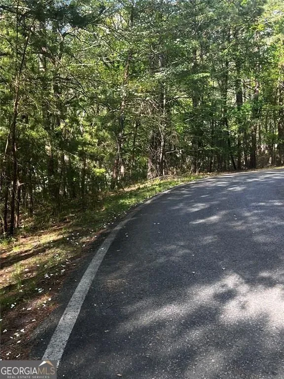 2658 Sconti View DR Big Canoe, GA 30143
