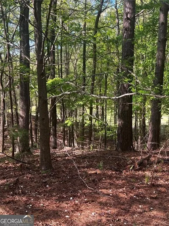 2658 Sconti View DR Big Canoe, GA 30143