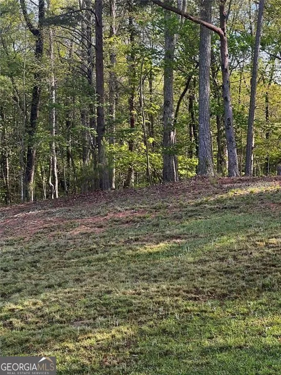 2658 Sconti View DR Big Canoe, GA 30143