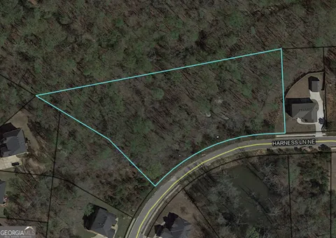2023 NE Harness LN
