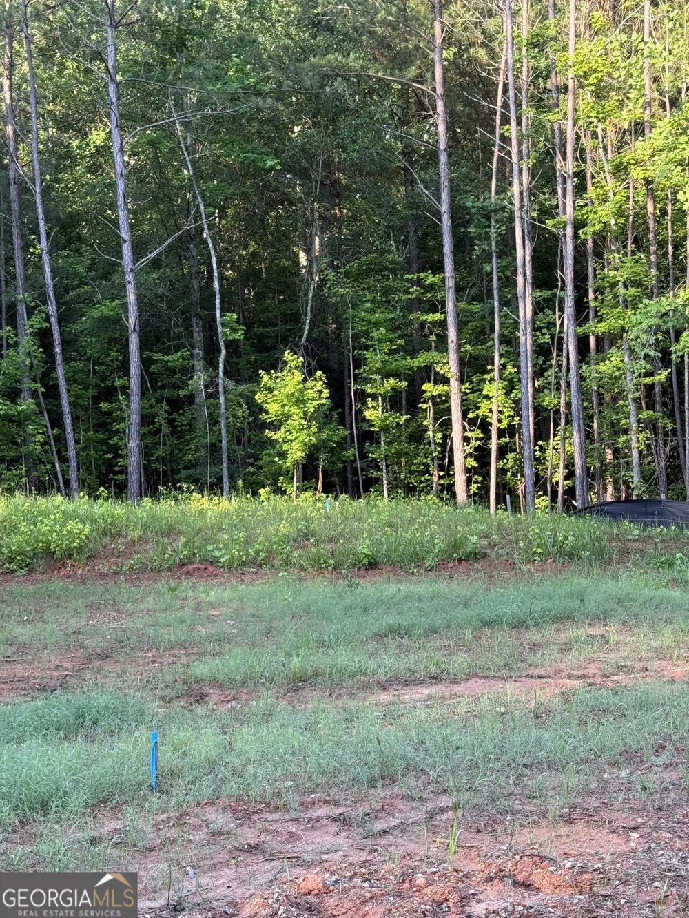 0 Benelli RDG Sharpsburg, GA 30277