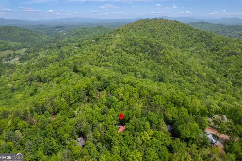 305 Martin XING Cherry Log, GA 30522
