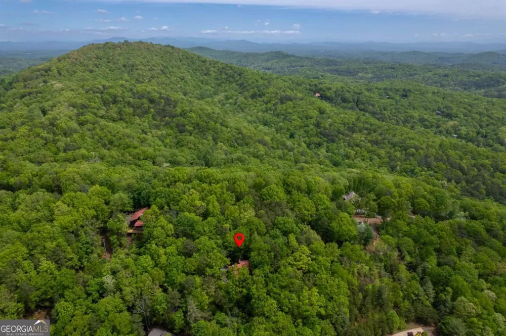 305 Martin XING Cherry Log, GA 30522