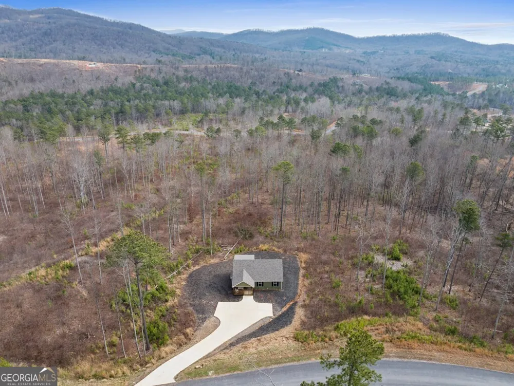 1281 Twisted Oak RD Talking Rock, GA 30175