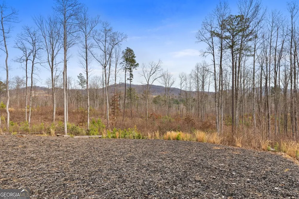 1281 Twisted Oak RD Talking Rock, GA 30175