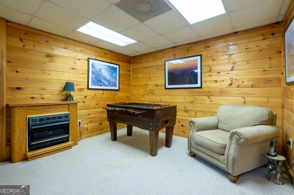 305 Martin XING Cherry Log, GA 30522
