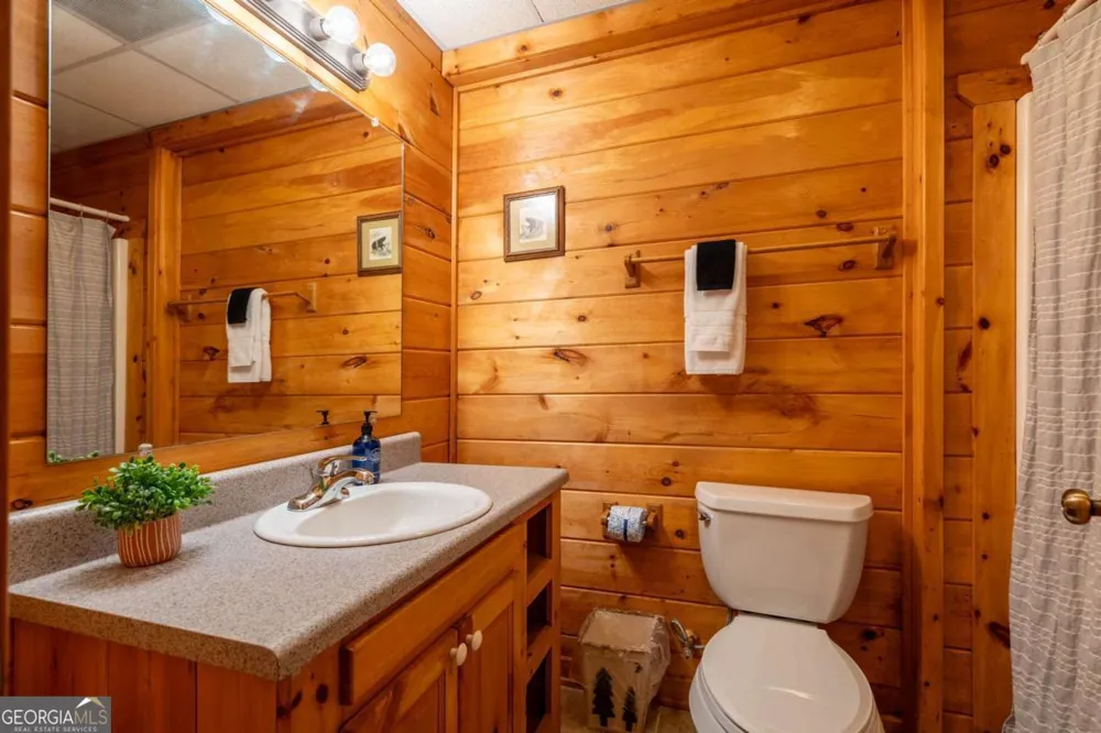 305 Martin XING Cherry Log, GA 30522