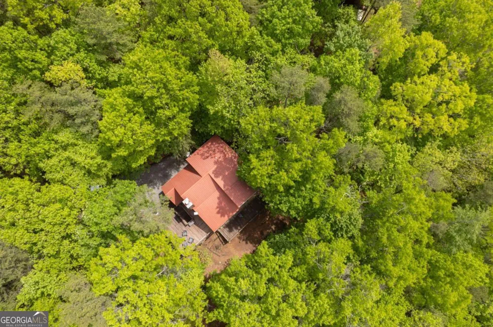 305 Martin XING Cherry Log, GA 30522