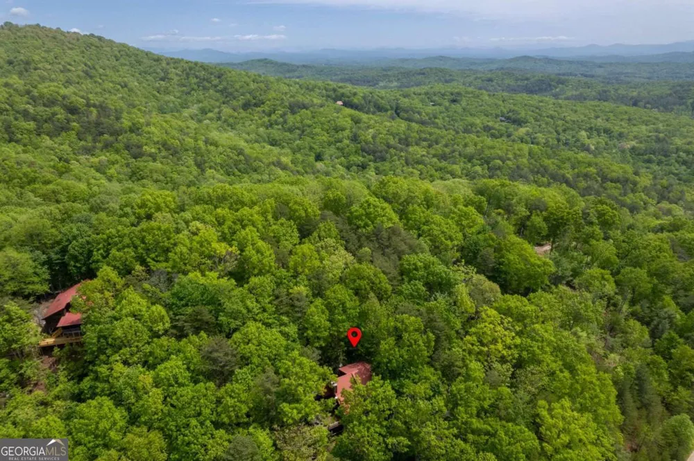 305 Martin XING Cherry Log, GA 30522