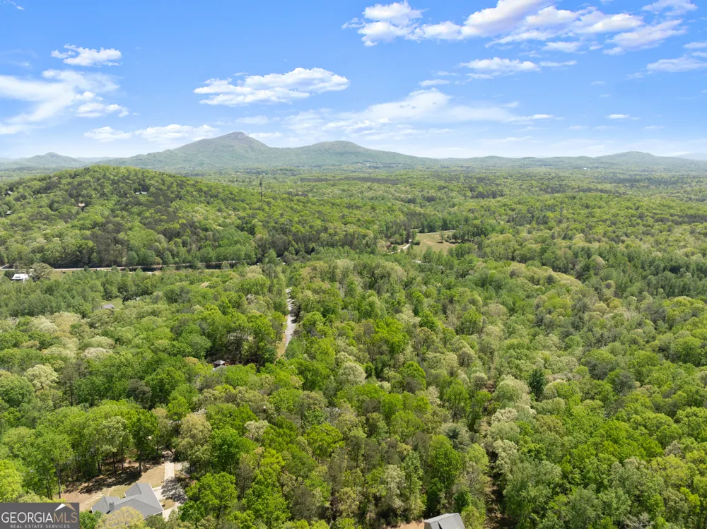 337 Spring Crest RD Cleveland, GA 30528