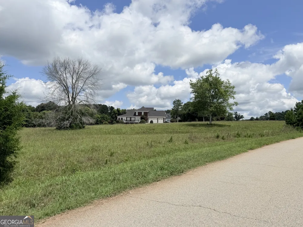 15 Meadow View CT Social Circle, GA 30025