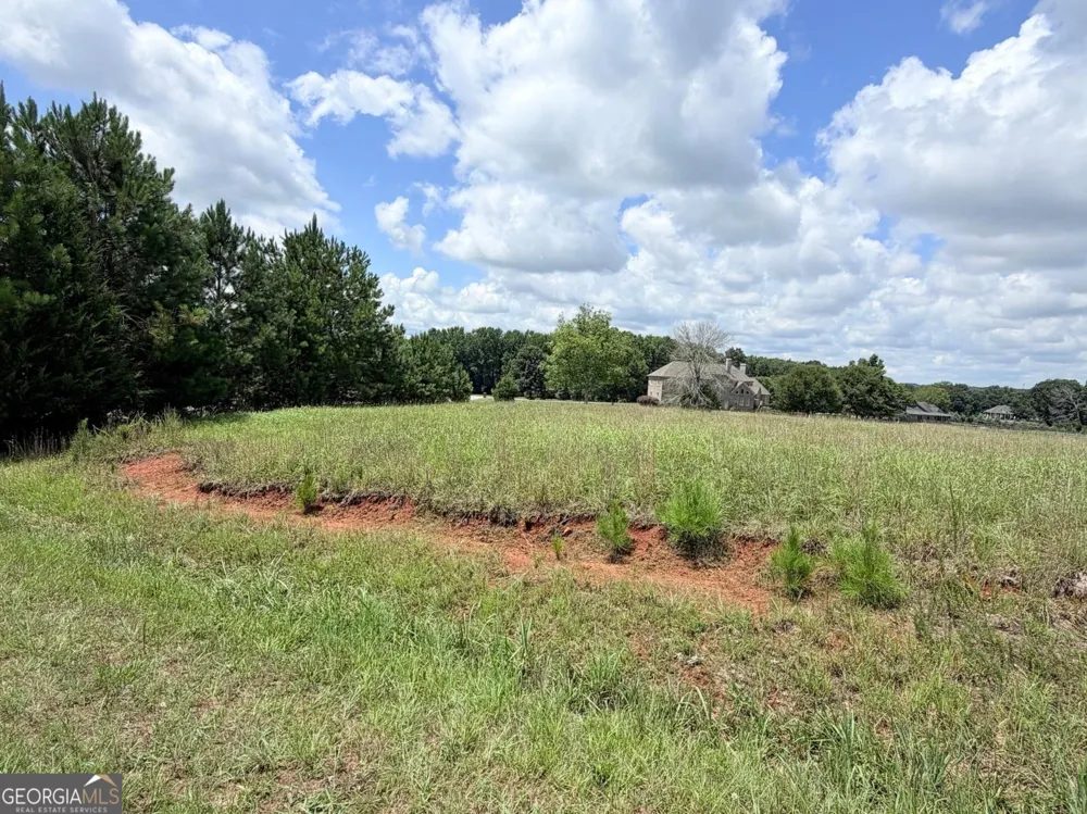 15 Meadow View CT Social Circle, GA 30025