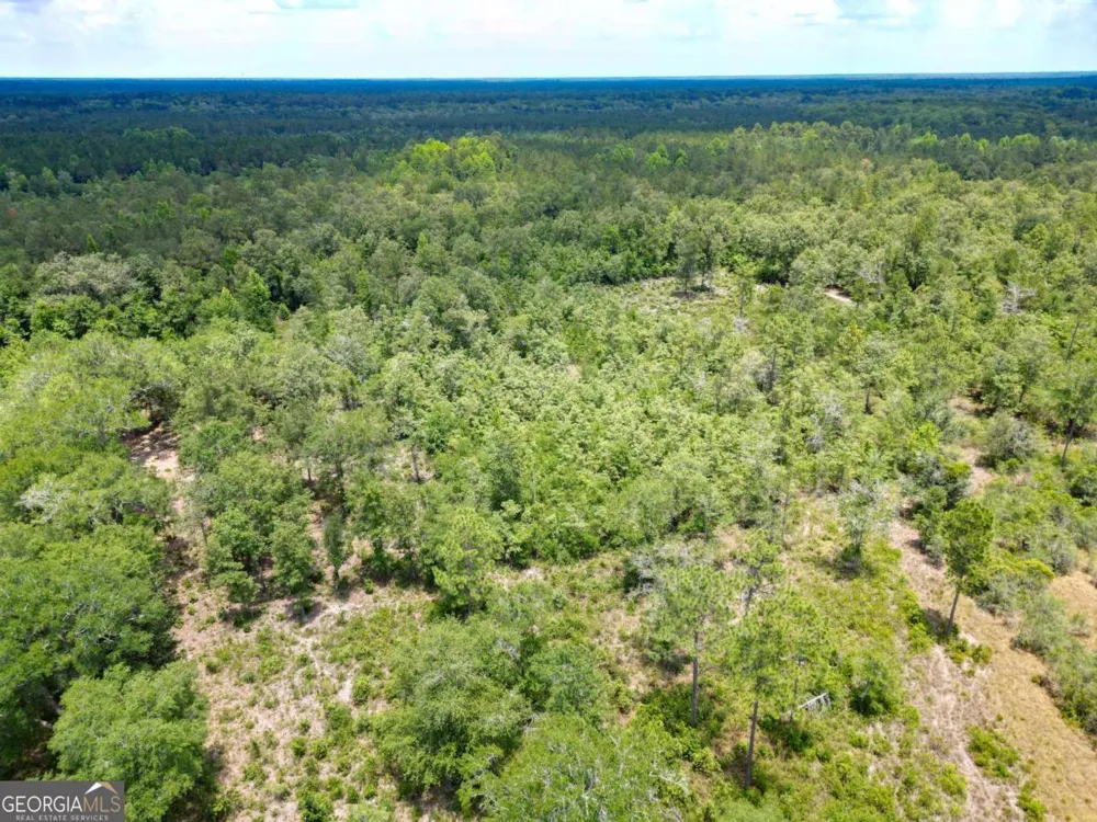 LOT 8 Faithland DR Hinesville, GA 31313