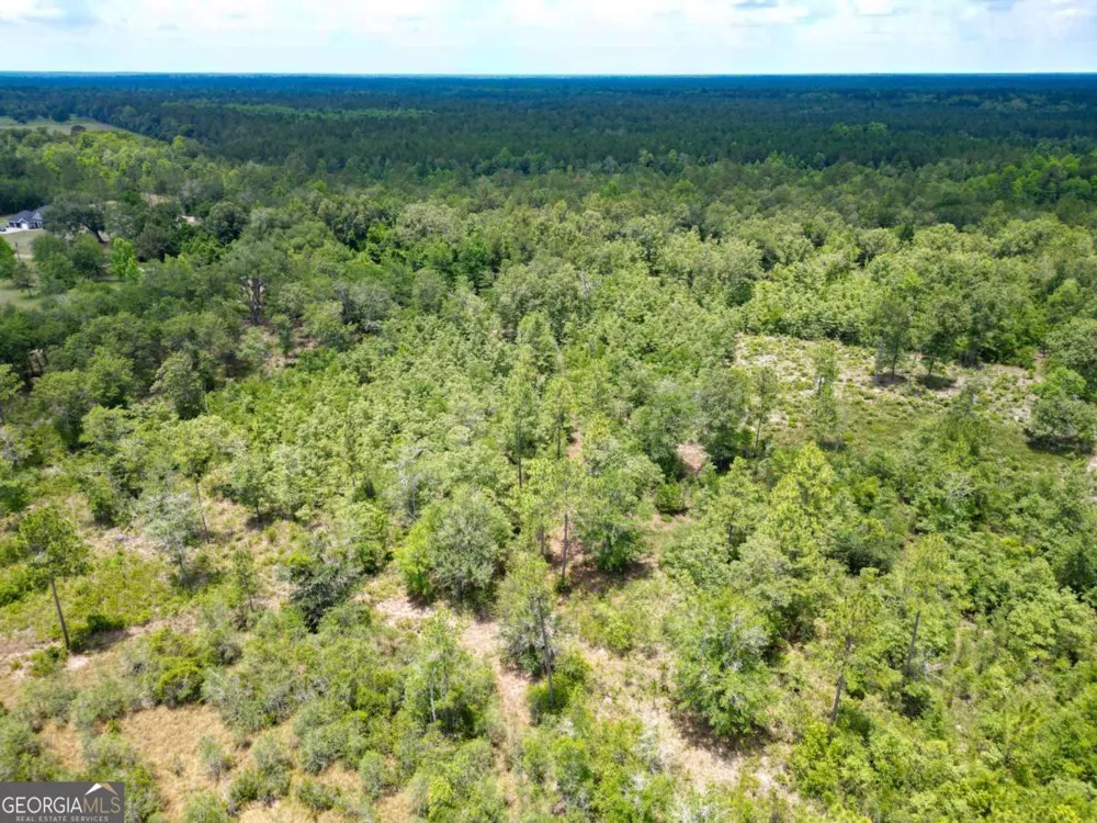 LOT 8 Faithland DR Hinesville, GA 31313