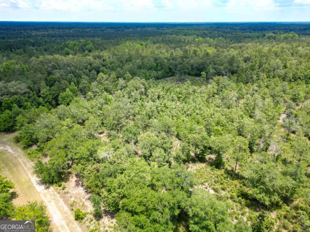 LOT 8 Faithland DR Hinesville, GA 31313