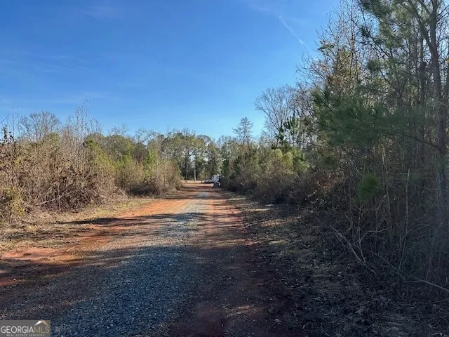 331 Worsham RD Culloden, GA 31016