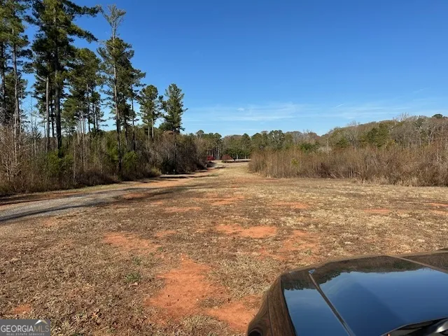 331 Worsham RD Culloden, GA 31016