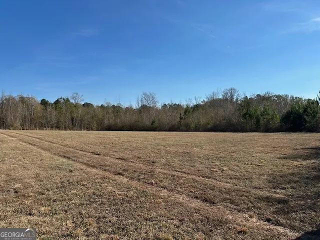 331 Worsham RD Culloden, GA 31016