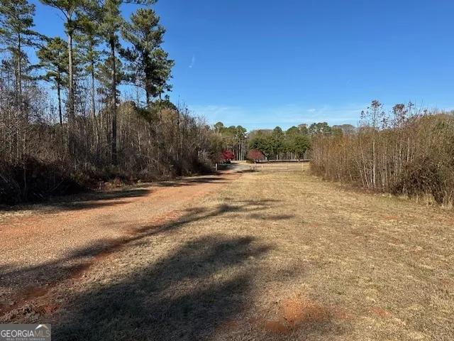331 Worsham RD Culloden, GA 31016