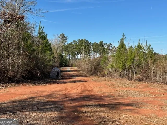 331 Worsham RD Culloden, GA 31016
