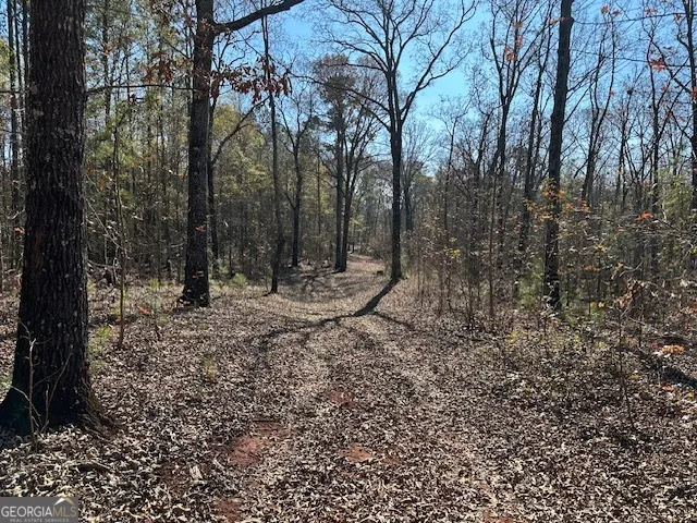 331 Worsham RD Culloden, GA 31016