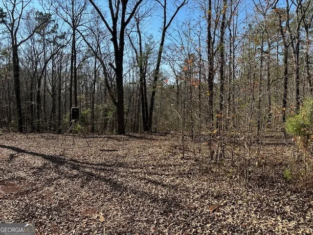 331 Worsham RD Culloden, GA 31016