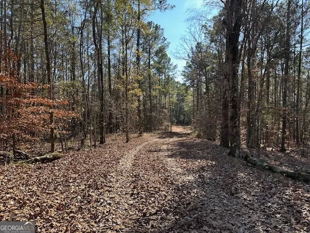331 Worsham RD Culloden, GA 31016
