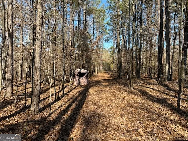 331 Worsham RD Culloden, GA 31016
