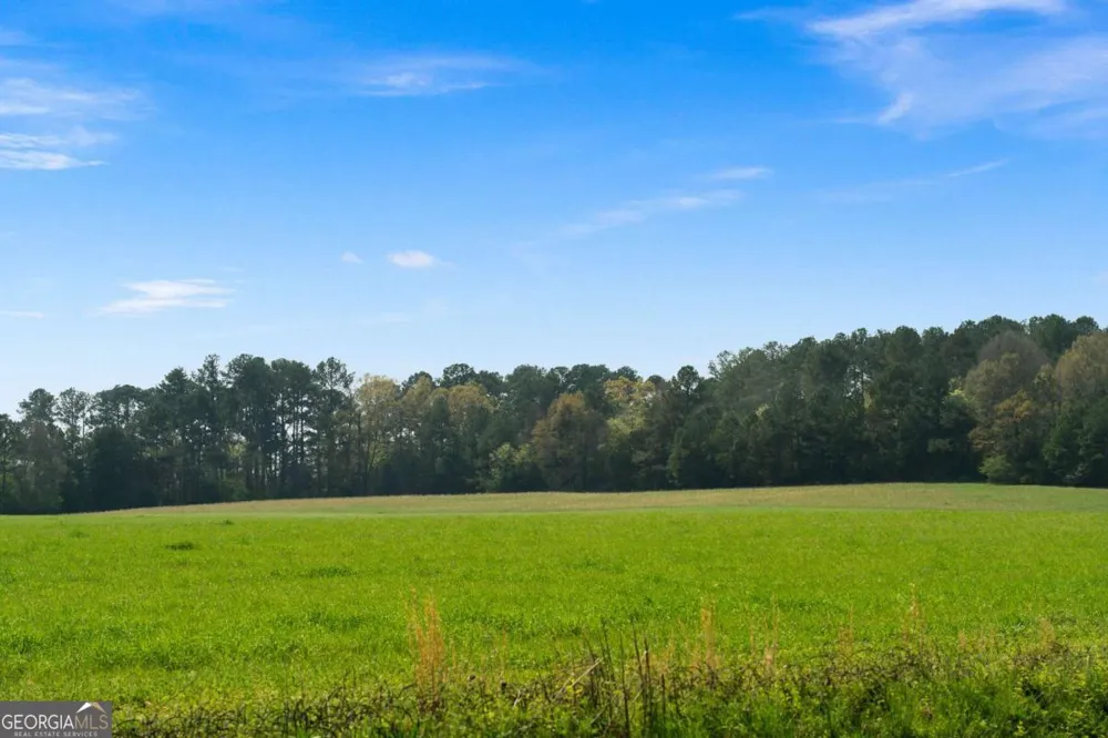 0 Taylorsville Macedonia / Miller Farm RD Taylorsville, GA 30178
