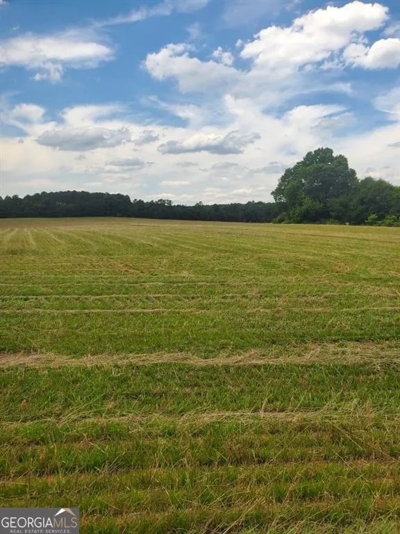 0 Taylorsville Macedonia / Miller Farm RD Taylorsville, GA 30178