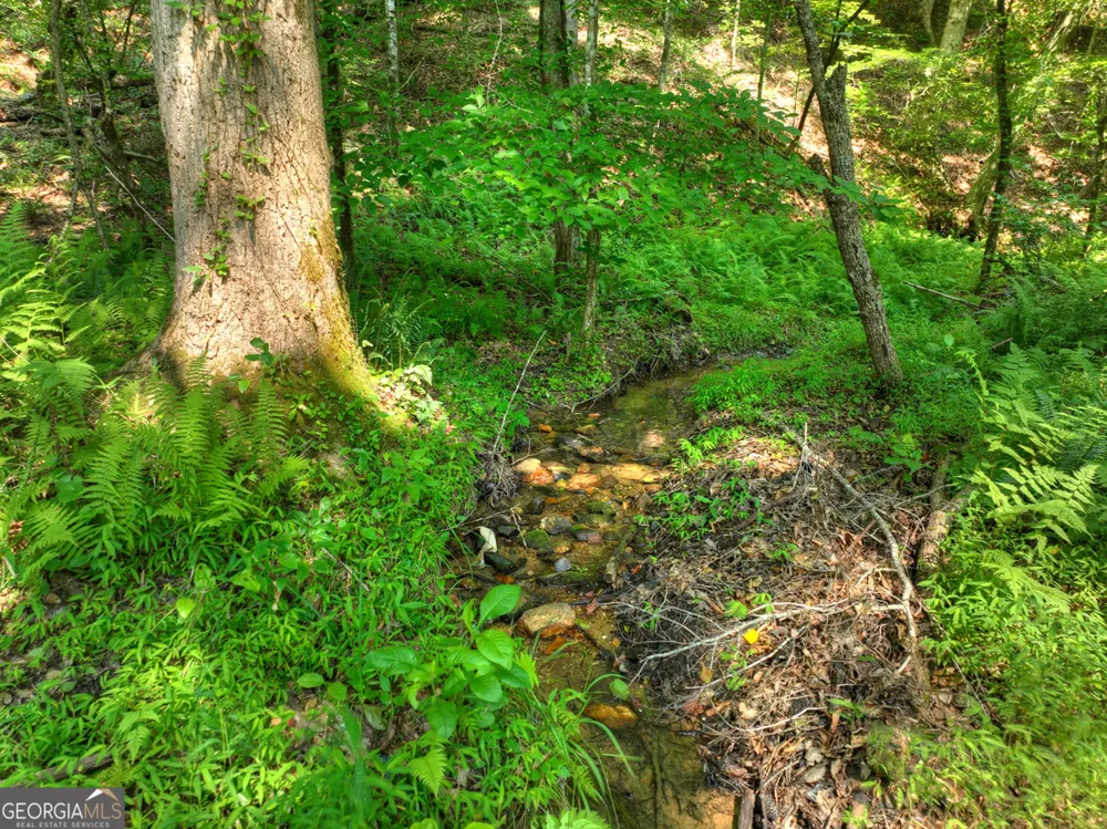 279 Shallow Water TRL Talking Rock, GA 30175