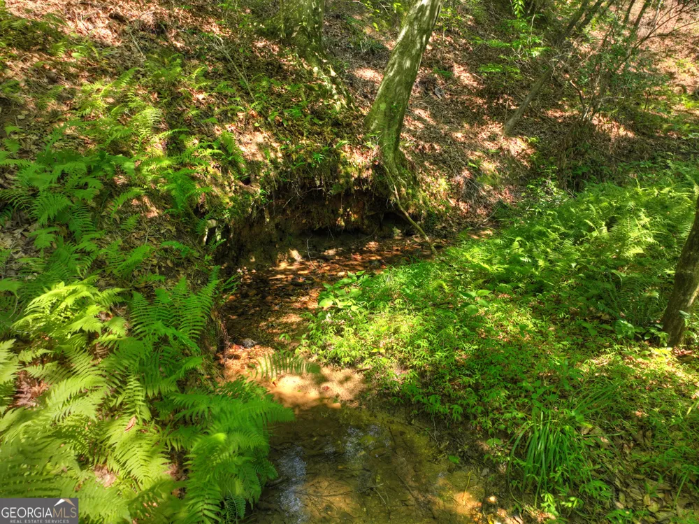 279 Shallow Water TRL Talking Rock, GA 30175
