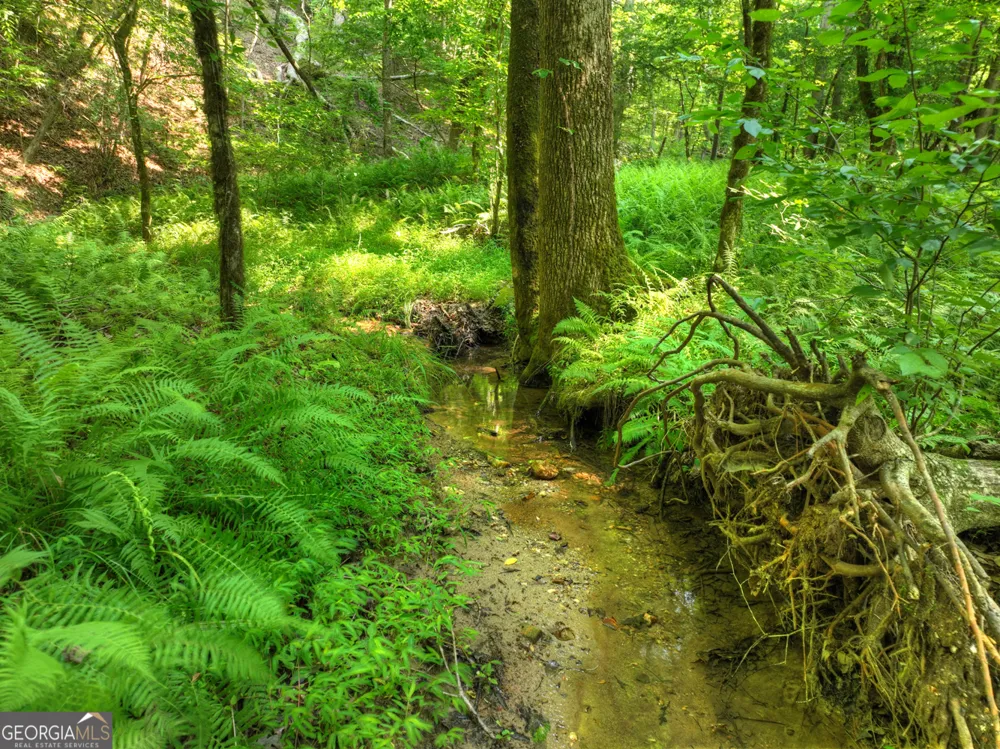279 Shallow Water TRL Talking Rock, GA 30175