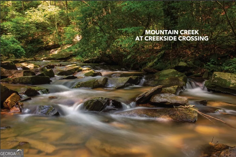 279 Shallow Water TRL Talking Rock, GA 30175