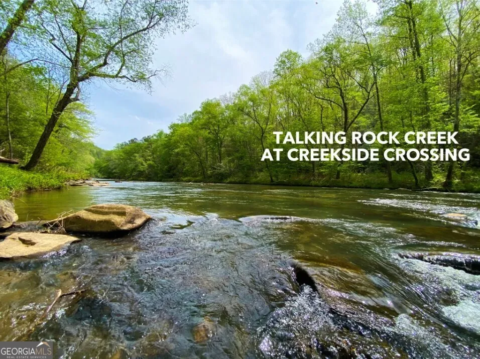 279 Shallow Water TRL Talking Rock, GA 30175