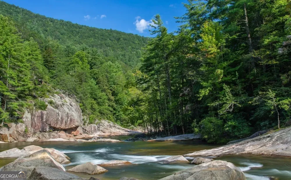 279 Shallow Water TRL Talking Rock, GA 30175