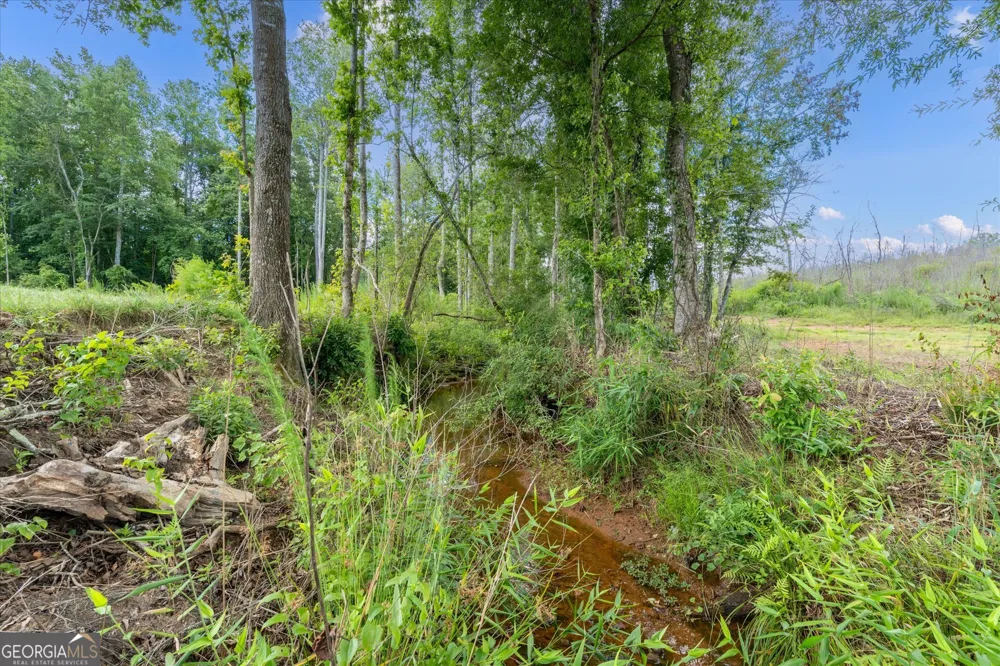14237 County Road 82 Woodland, AL 36280