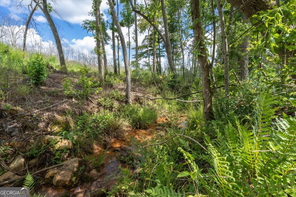 14237 County Road 82 Woodland, AL 36280