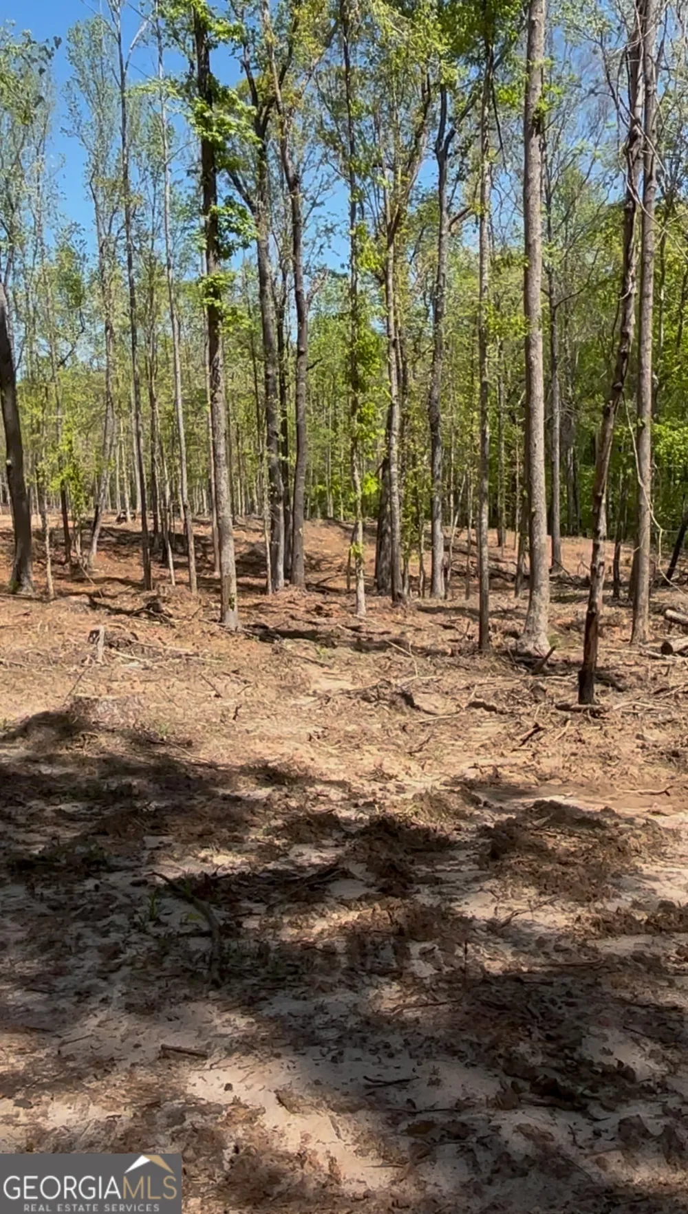 282 Quesenberry DR Eatonton, GA 31024